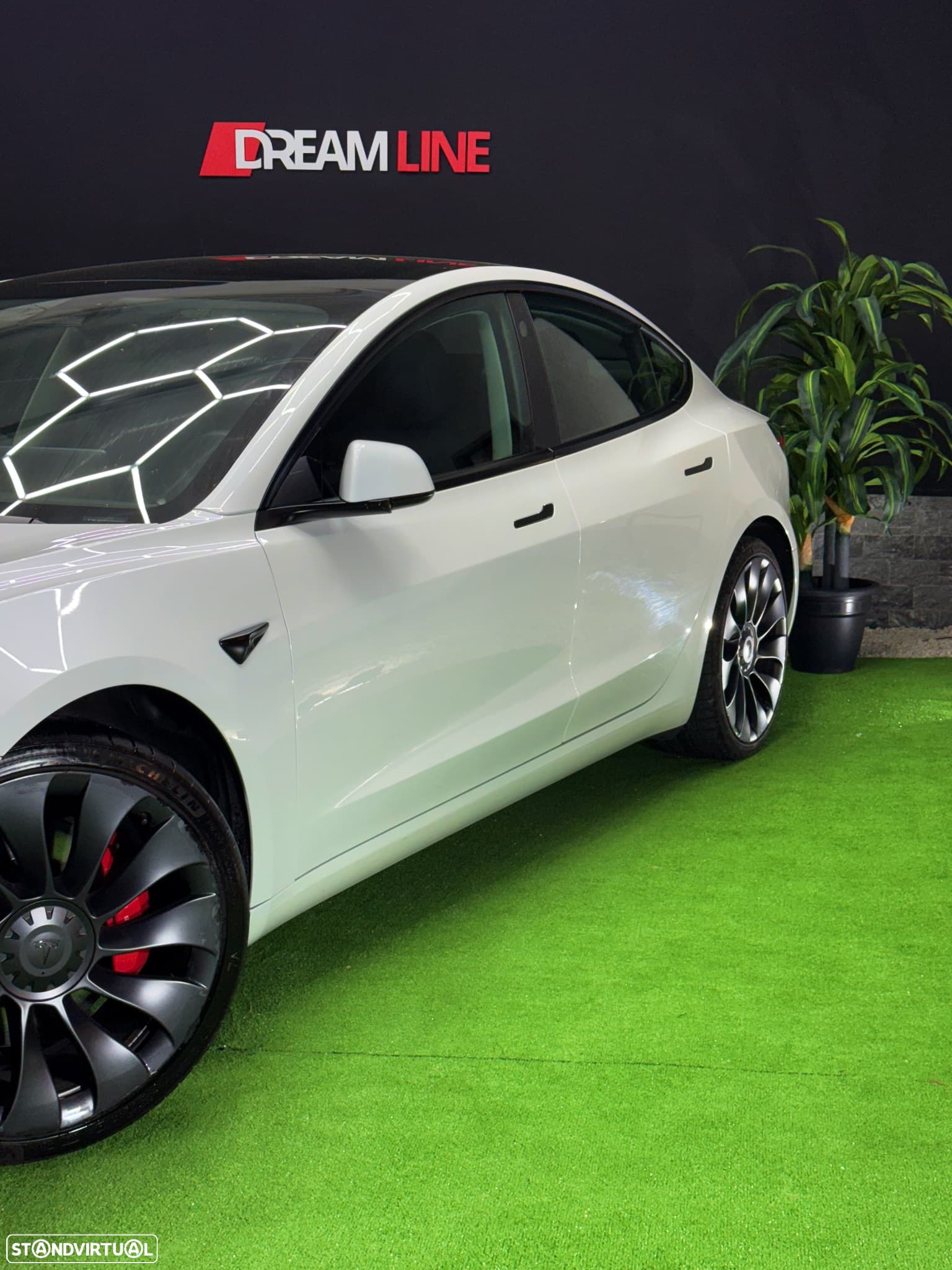 Foto 9 de Tesla Model 3 Long Range AWD Dual Motor Performance